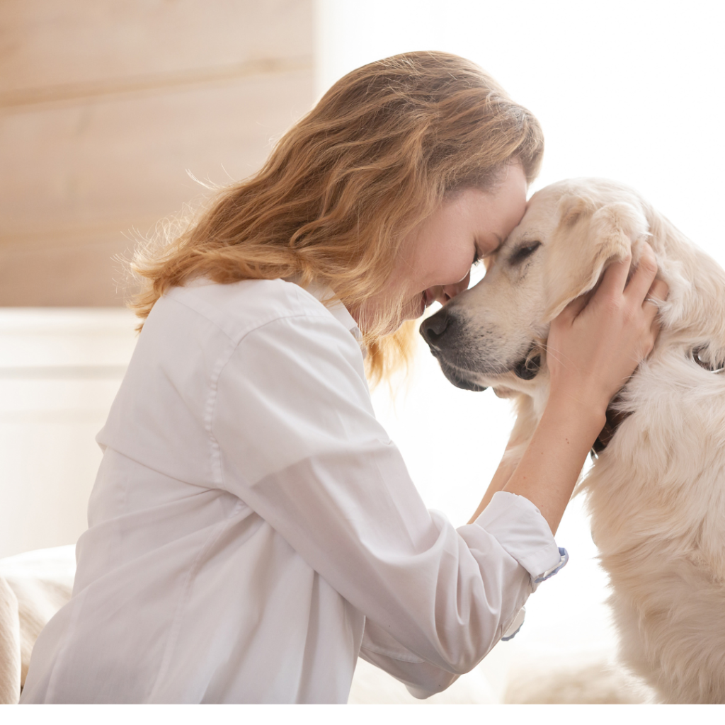 Cómo cuidar correctamente a tu mascota: guía básica para dueños responsables